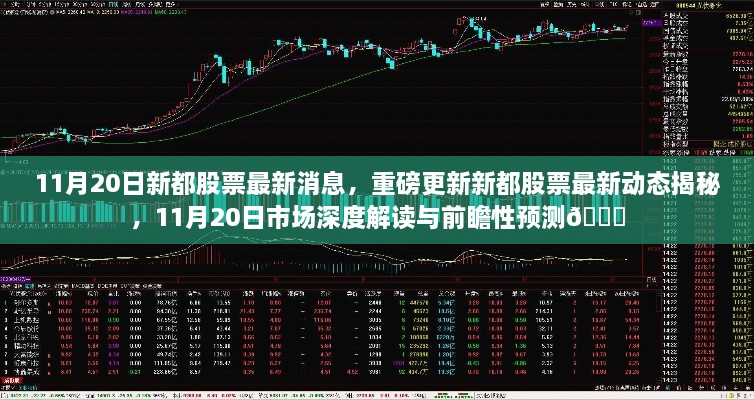 11月20日新都股票最新動(dòng)態(tài)與市場(chǎng)深度解讀，前瞻性預(yù)測(cè)揭秘??