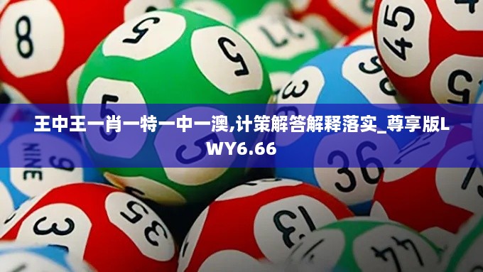 王中王一肖一特一中一澳,計策解答解釋落實_尊享版LWY6.66