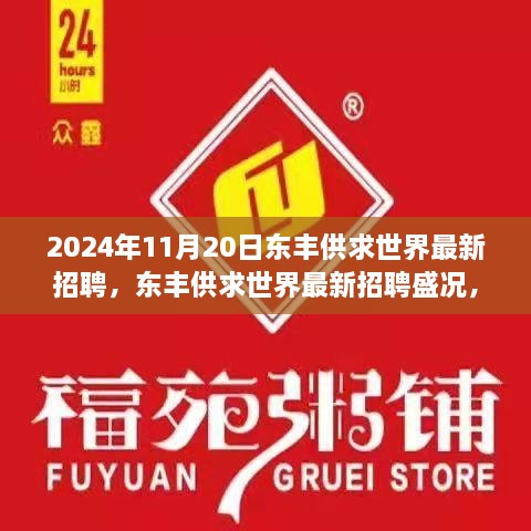 2024年11月20日東豐供求世界招聘盛況，行業(yè)變革與職業(yè)機遇的聚焦