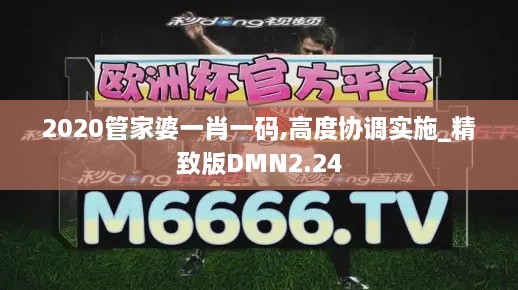 2020管家婆一肖一碼,高度協(xié)調實施_精致版DMN2.24