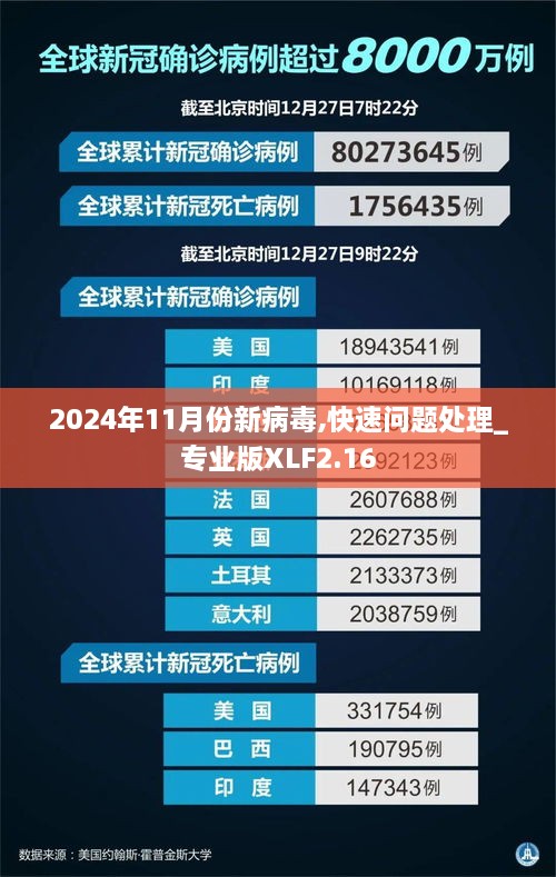 2024年11月份新病毒,快速問(wèn)題處理_專(zhuān)業(yè)版XLF2.16