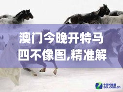 澳門(mén)今晚開(kāi)特馬四不像圖,精準(zhǔn)解答解釋方案_自由版WBP8.74