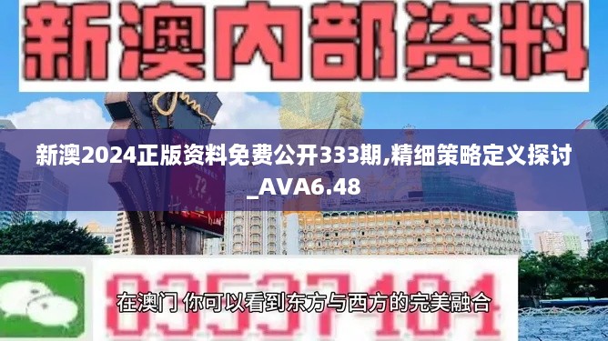 新澳2024正版資料免費公開333期,精細策略定義探討_AVA6.48