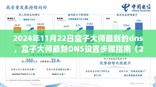 2024年11月22日盒子大師最新的dns，盒子大師最新DNS設(shè)置步驟指南（2024年11月版）