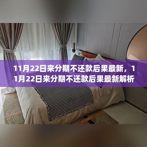 11月22日來分期不還款后果最新解析，全面審視其影響