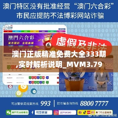 澳門正版精準(zhǔn)免費(fèi)大全333期,實時解析說明_MVM3.79