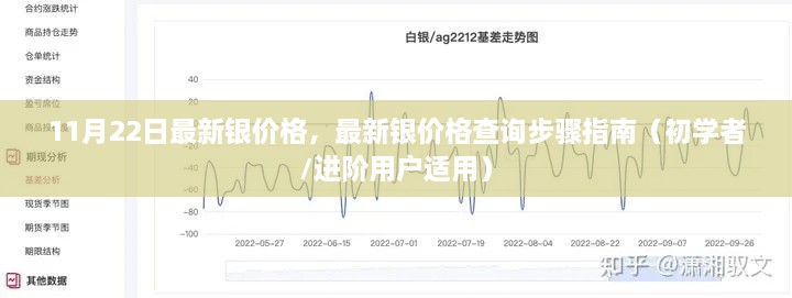 最新銀價(jià)格查詢指南，步驟詳解，適用于初學(xué)者與進(jìn)階用戶（11月22日更新）