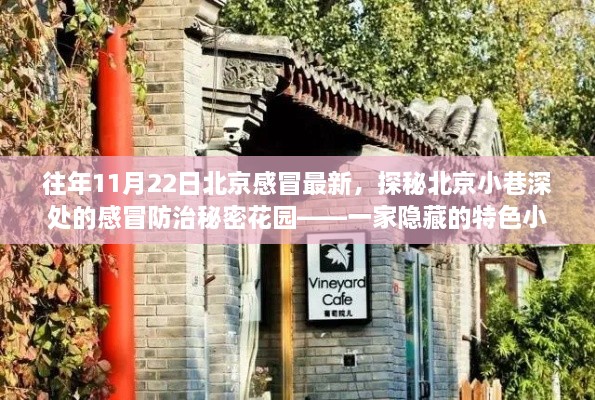 探秘北京小巷深處的特色小店，感冒防治秘密花園