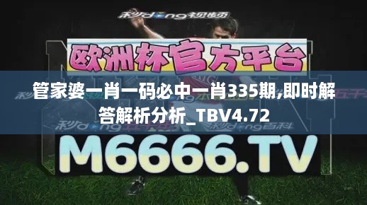 管家婆一肖一碼必中一肖335期,即時(shí)解答解析分析_TBV4.72