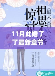 11月此婚了了最新章節(jié)，婚緣十一月，溫馨日常與愛的紐帶