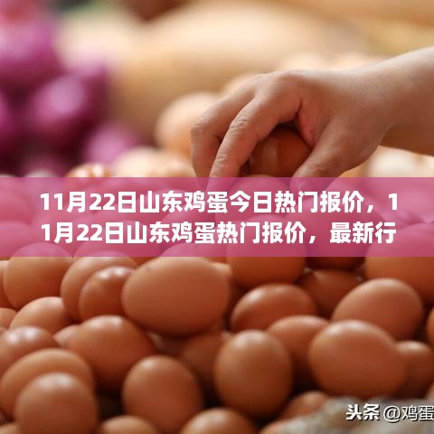 山東雞蛋最新報(bào)價(jià)行情分析與購(gòu)買(mǎi)指南（11月22日）