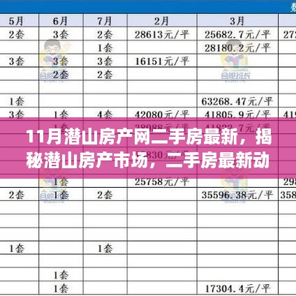 揭秘潛山房產(chǎn)市場，最新二手房動態(tài)深度解讀（11月版）