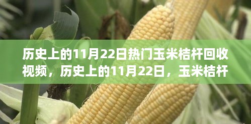 歷史上的11月22日玉米桔桿回收視頻熱潮涌動時刻