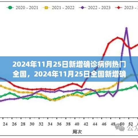 2024年11月25日全國疫情動態(tài)，最新確診病例指南與理解疫情走勢的方法