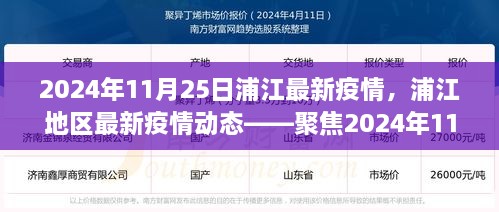 2024年11月25日浦江地區(qū)疫情動態(tài)，防控進(jìn)展與科普解讀