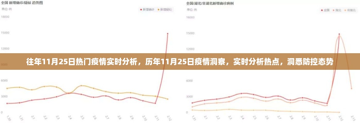 歷年與即時洞察，11月25日疫情深度分析與防控態(tài)勢實時觀察