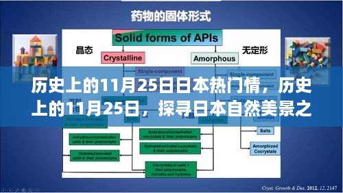 探尋日本自然美景之旅，歷史上的11月25日與日本情感之旅的寧靜與平和