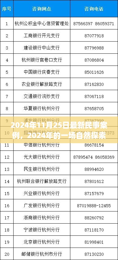 民事案例背后的心靈之旅，自然探索之旅的啟示（2024年最新案例）