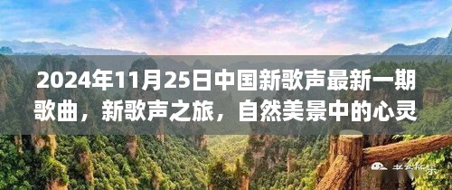 心靈和弦的共鳴，2024年11月25日中國新歌聲之旅的自然美景啟示