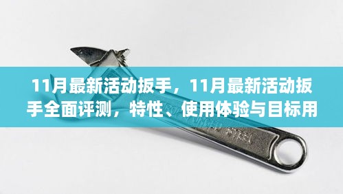 11月最新活動扳手全面評測，特性、使用體驗與目標用戶群體深度解析