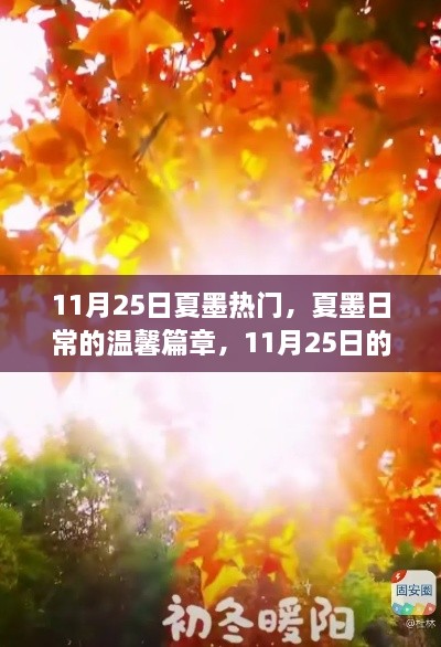 夏墨日常，11月25日的暖陽(yáng)時(shí)光與溫馨篇章