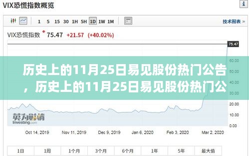 歷史上的11月25日易見股份熱門公告揭秘，重大事件一覽
