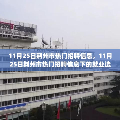 11月25日荊州市熱門招聘信息，11月25日荊州市熱門招聘信息下的就業(yè)選擇，機遇與挑戰(zhàn)并存