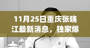 重慶張曉江最新動態(tài)揭秘，11月25日獨家爆料，瞬間驚艷！