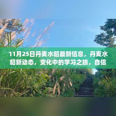 11月25日丹麥水貂最新信息，丹麥水貂新動態(tài)，變化中的學習之旅，自信與成就感的源泉