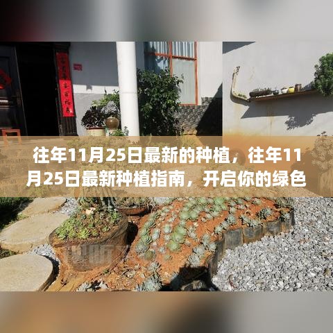 往年11月25日最新的種植，往年11月25日最新種植指南，開啟你的綠色生活之旅