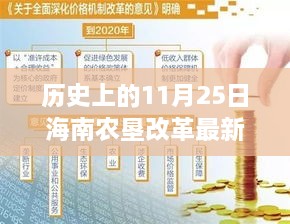 海南農(nóng)墾改革新篇章，歷史上的11月25日，變革中的自信與成就感