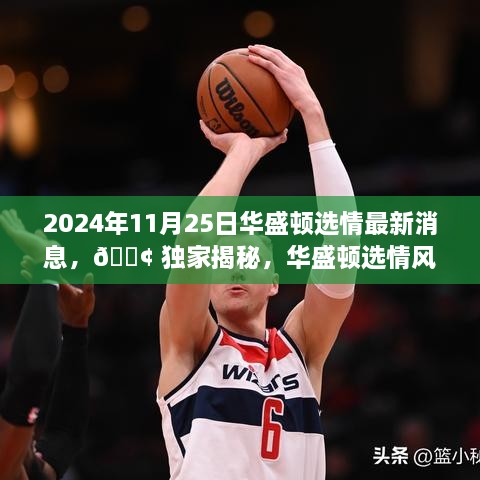 2024年11月25日華盛頓選情最新消息，?? 獨家揭秘，華盛頓選情風云變幻，最新消息一網(wǎng)打盡！?? 2024年11月25日選情深度解析