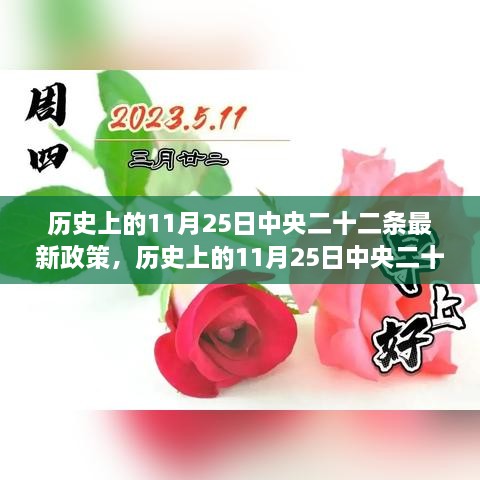 歷史上的11月25日中央二十二條最新政策，歷史上的11月25日中央二十二條最新政策深度解讀