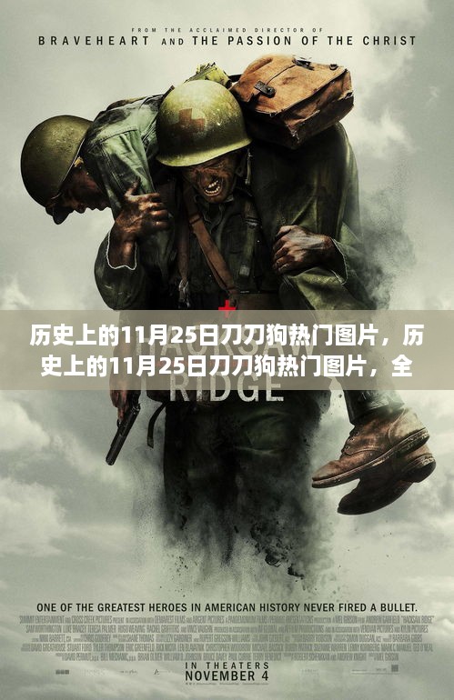 歷史上的11月25日刀刀狗熱門(mén)圖片，歷史上的11月25日刀刀狗熱門(mén)圖片，全面評(píng)測(cè)與介紹