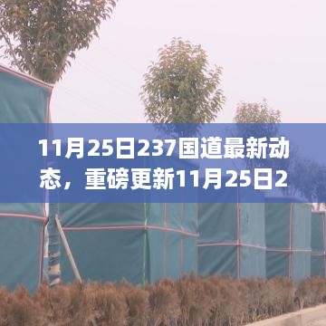 11月25日237國道最新動態(tài)全解析，路況、施工及出行指南