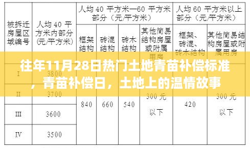 往年11月28日熱門話題，土地青苗補償標準與溫情故事回顧