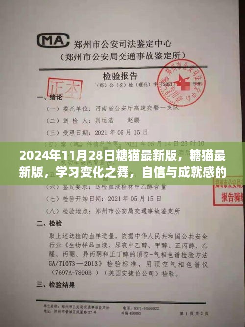 2024年11月28日糖貓最新版，糖貓最新版，學(xué)習(xí)變化之舞，自信與成就感的魔法之旅