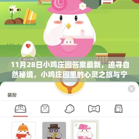 11月28日小雞莊園答案最新，追尋自然秘境，小雞莊園里的心靈之旅與寧靜的擁抱