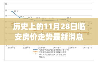 歷史上的11月28日臨安房價走勢深度解析，背景、事件與地位及其最新消息