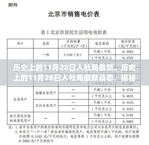 揭秘歷史上的11月28日人社局最新動態(tài)，改變未來的重要時刻回顧