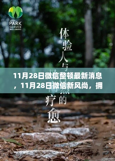 微信整頓新動態(tài)，啟程心靈之旅，擁抱自然新風尚