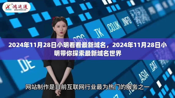 小明帶你探索最新域名世界的奇妙之旅，2024年11月28日獨(dú)家報(bào)道