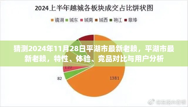 平湖市最新失信人員解析，特性、體驗、競品對比與用戶洞察（預(yù)測至2024年11月）