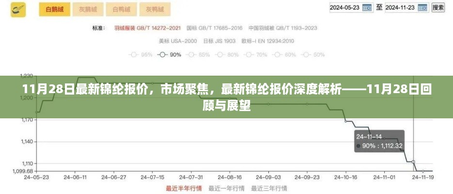 11月28日錦綸市場深度解析，報價、聚焦與未來展望