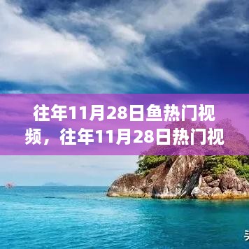 往年11月28日熱門(mén)視頻中的魚(yú)躍現(xiàn)象，深度解析與觀點(diǎn)闡述