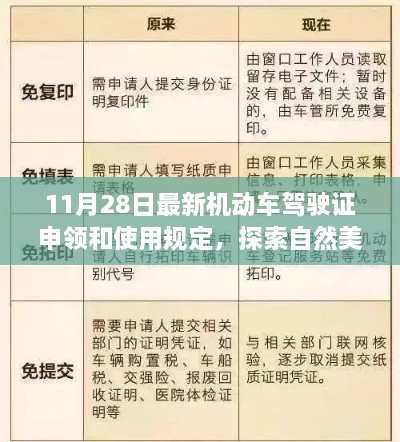 探索自然美景的心靈之旅，最新機動車駕駛證申領和使用規(guī)定解讀