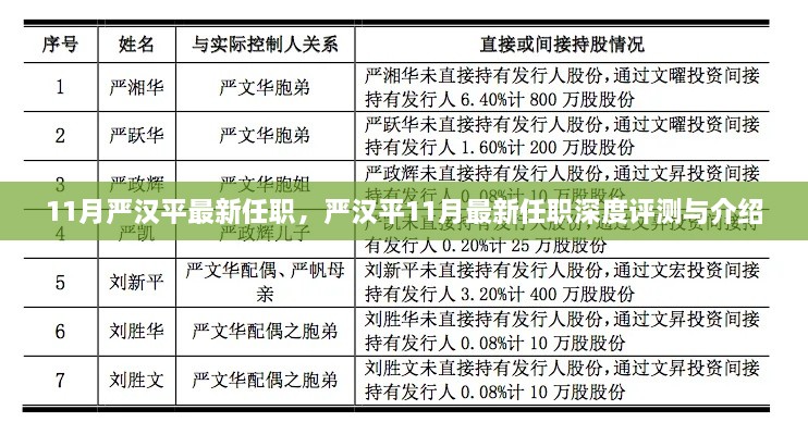 嚴漢平最新任職深度解析與介紹，揭秘其11月新職務的機遇與挑戰(zhàn)