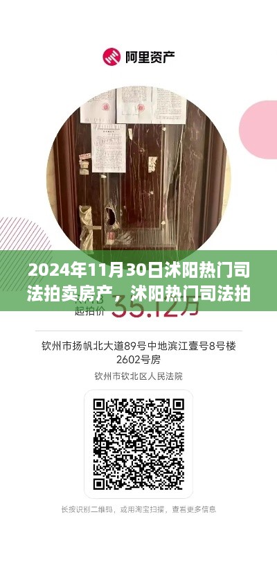 2024年11月30日沭陽(yáng)熱門司法拍賣房產(chǎn)搶拍指南，最新房源大揭秘