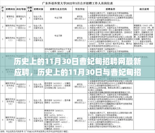 歷史上的11月30日，曹妃甸招聘網(wǎng)最新應(yīng)聘現(xiàn)象深度分析與觀點闡述