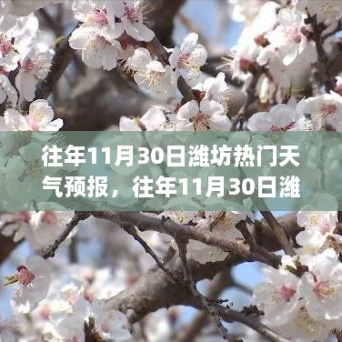 濰坊往年11月30日天氣預(yù)報回顧與旅行建議，氣象分析與建議